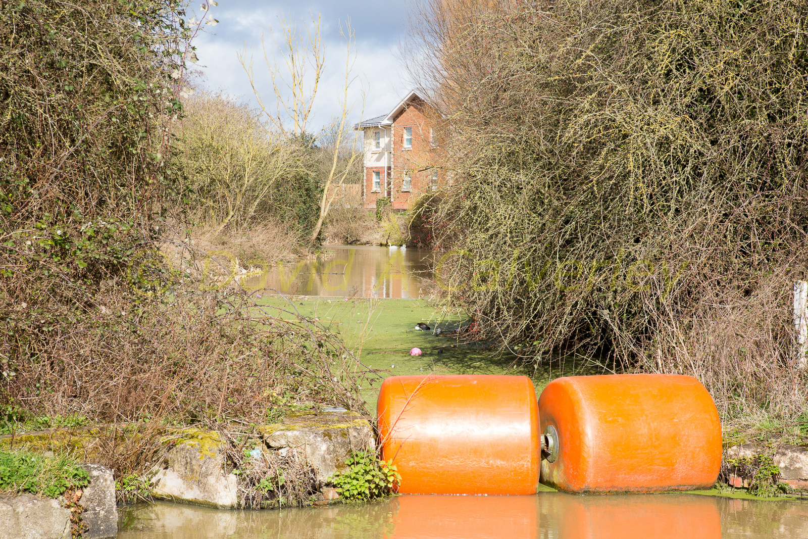 Oxford_Canal_[North]-2029.jpg